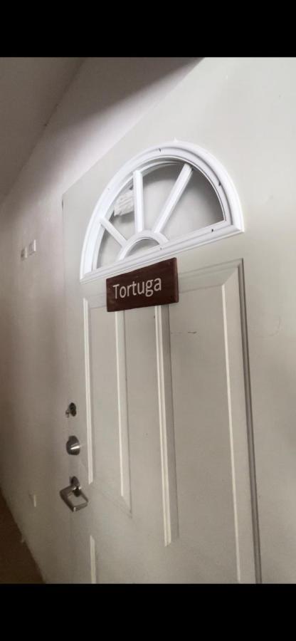 Habitacion Tortuga Casa Maria Bonita El Cuyo Exteriör bild
